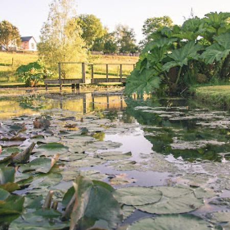 Defoes View Villa Honiton Buitenkant foto