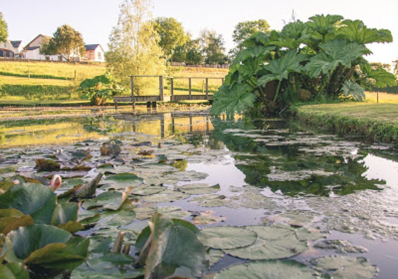Defoes View Villa Honiton Buitenkant foto